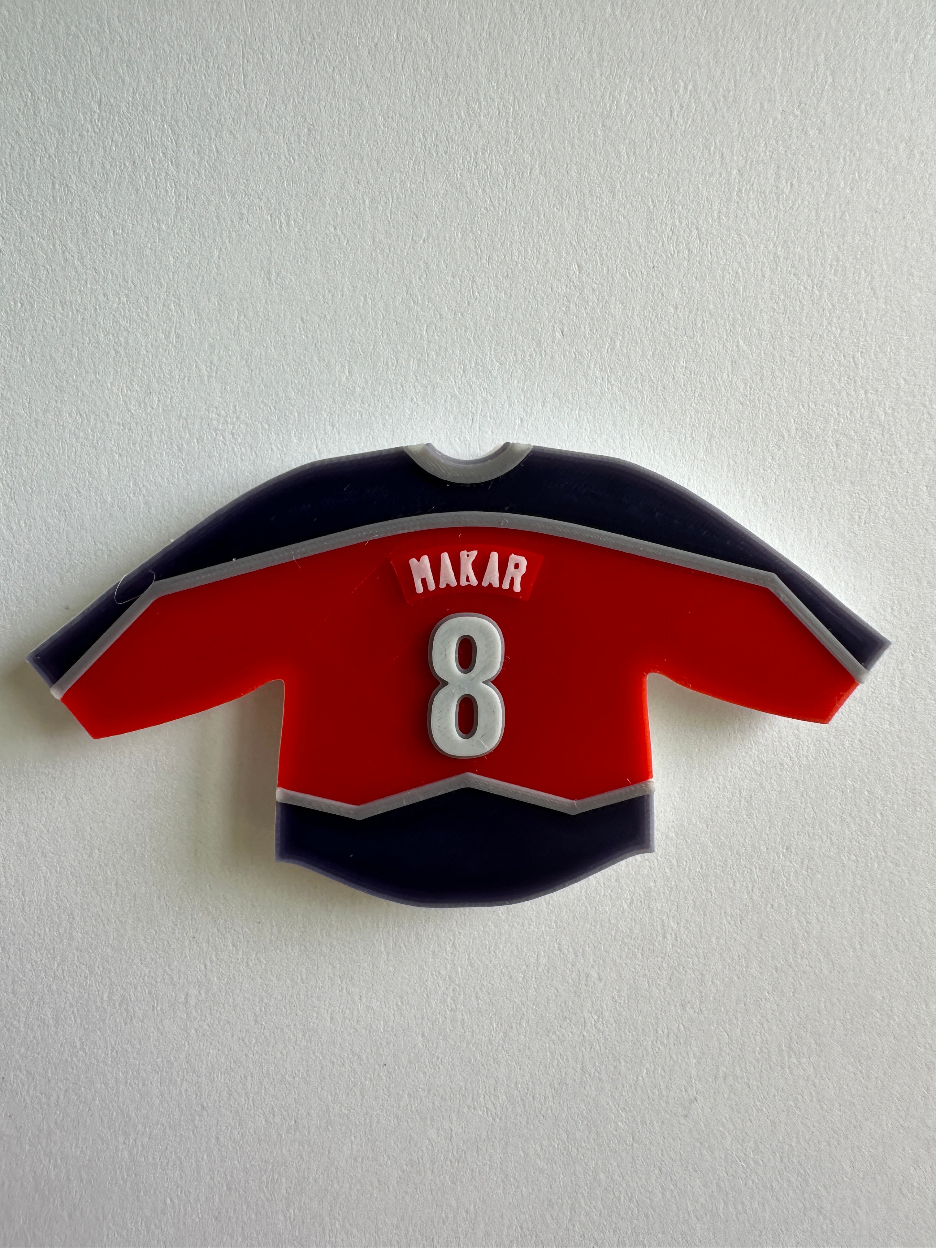 Custom NHL-Themed 3D Printed Magnets