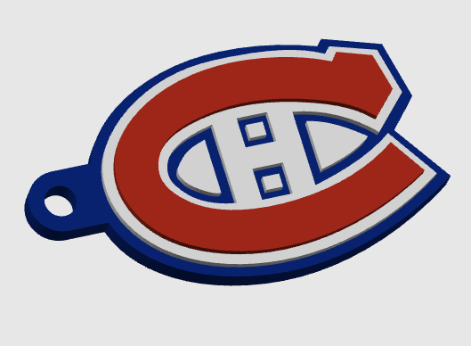 Custom NHL Logo 3D Printed Keychains